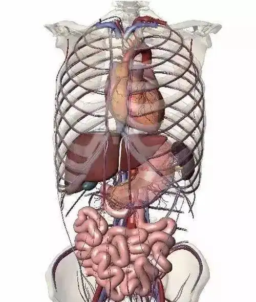 心脏有问题时1,左边手臂会酸,麻,痛.2,下巴疼痛.