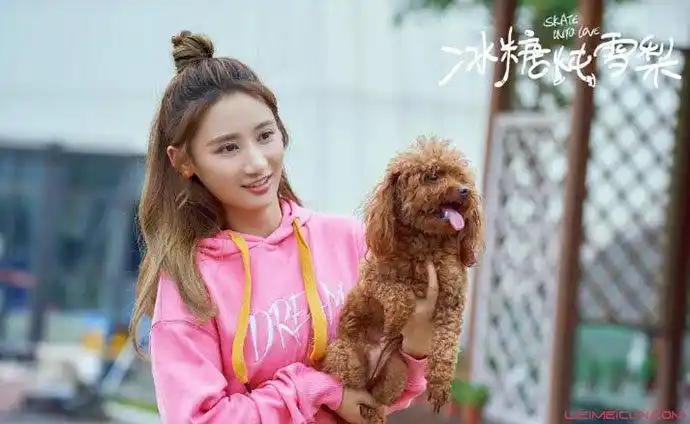 冰糖炖雪梨夏梦欢谁演的扮演者何宣林资料被扒是杨紫同学