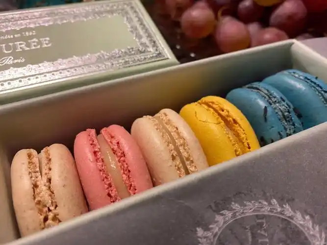 laduree马卡龙十年如一日的赞