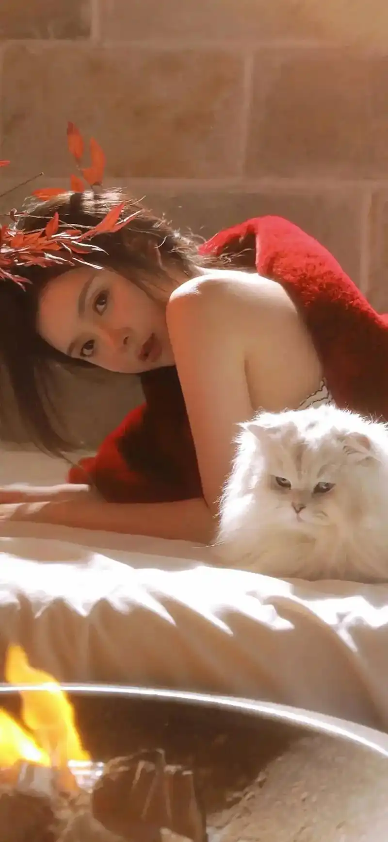 高清壁纸 #全屏壁纸 #最美壁纸 新年新气象!新的一年里, - 抖音