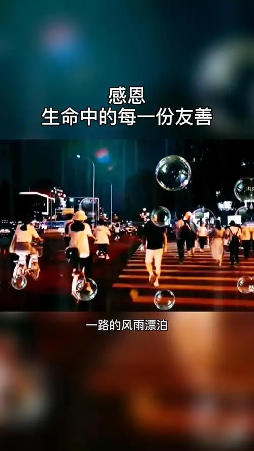 感恩遇见丨心怀感恩所遇皆温柔感恩所有的相遇和陪伴