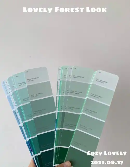 多乐士色卡终于选好了期待上墙