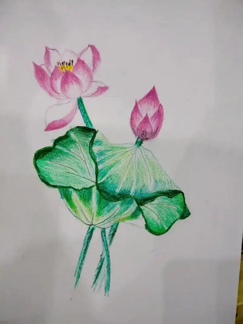 绘有趣创意美术 彩铅手绘作品 - 抖音