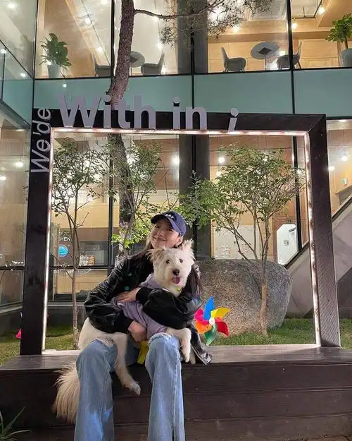 金高银近日ins更新 日常生活照都充满了温柔舒服的感觉