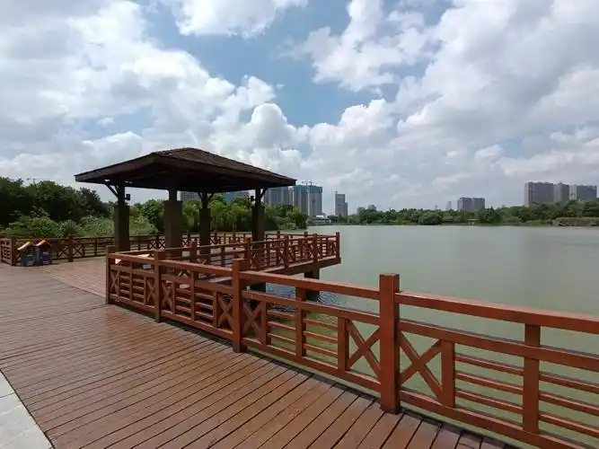 长沙月湖公园有什么好玩的长沙月湖公园全景图简介