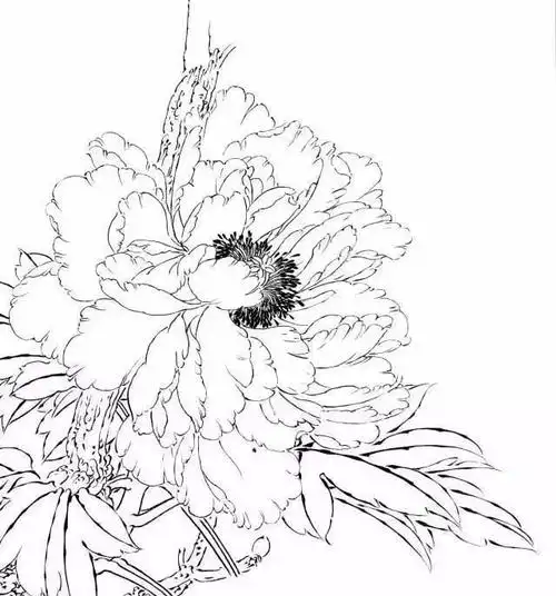 书画联盟丨工笔白描知识及线描要求图解