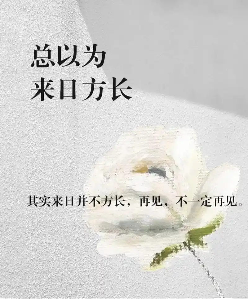 一恍惚间,有的人再见,有的人再也不见.有的人见面需 - 抖音