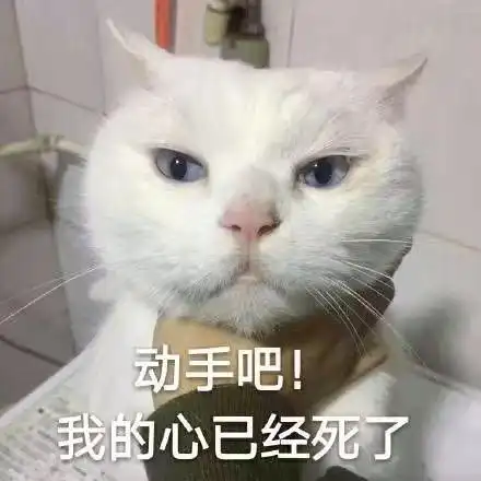 我的心已经死了(猫咪)