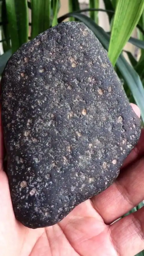 春雪#普通球粒陨石,密度2.9,硬度6.1,质量653g,弱磁性