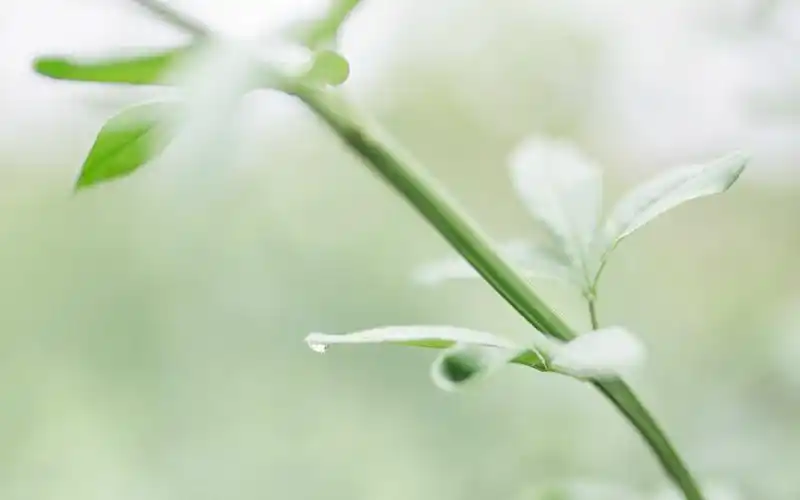 成人高考是什么和普通高考有什么区别