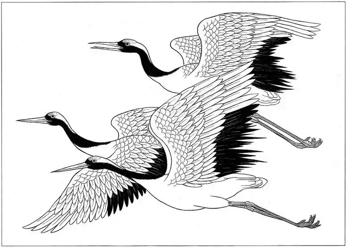 工笔白描仙鹤图