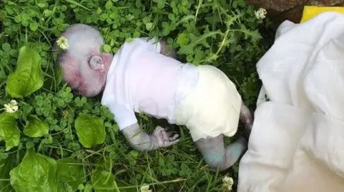 路旁发现婴儿尸体.警方到达现场查看后全城缉拿报警人