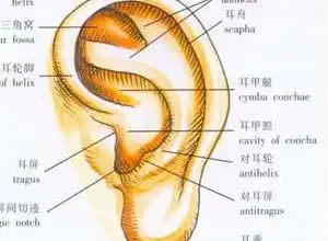 外耳道疼痛