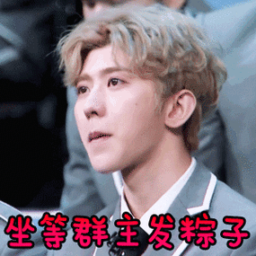 端午节斗图表情包gif图合集|不发粽子,发个红包可以吗?