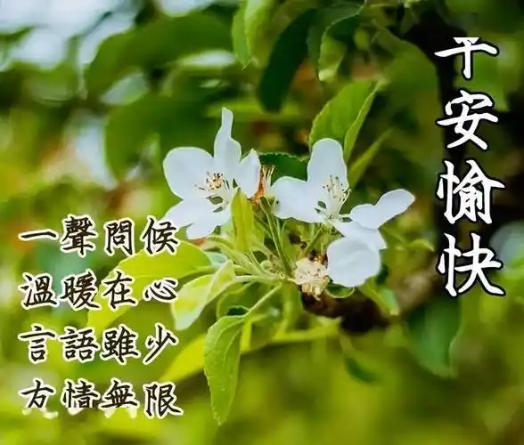 每一个早晨都祝福满满,每一声问候都友情浓浓,早安