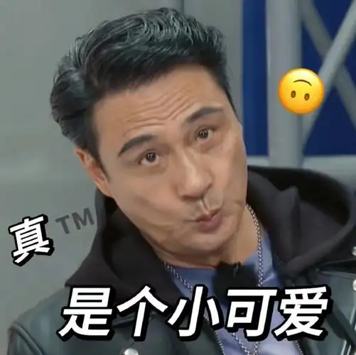 谈判专家吴镇宇反差感