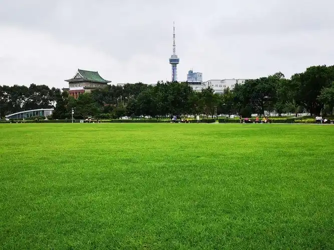 2021文化广场游玩攻略,主要由石板,草坪,树木和雕.【去哪儿攻略】