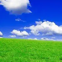 好看微信头像小清新自然【点击鼠标右键下载】