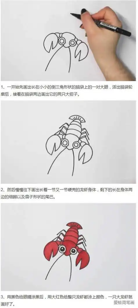 小动物简笔画虾