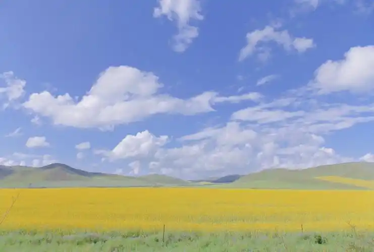 蓝天下优美迷人景色,图片,壁纸,自然风景-桌酷