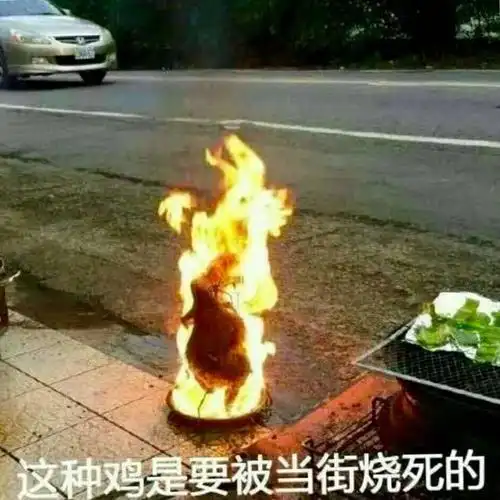 这种鸡是要被当街烧死的热门表情包精选20171110斗图表情