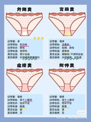 妇科疾病图片收集