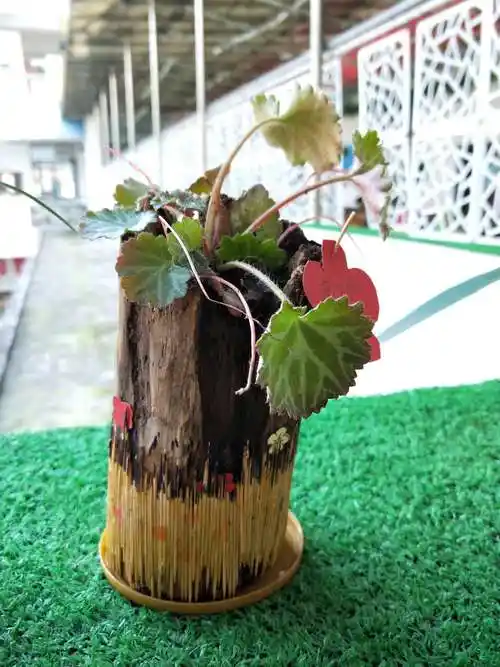 安幼亲子自制盆景