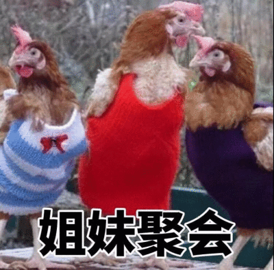 姐妹情深表情包