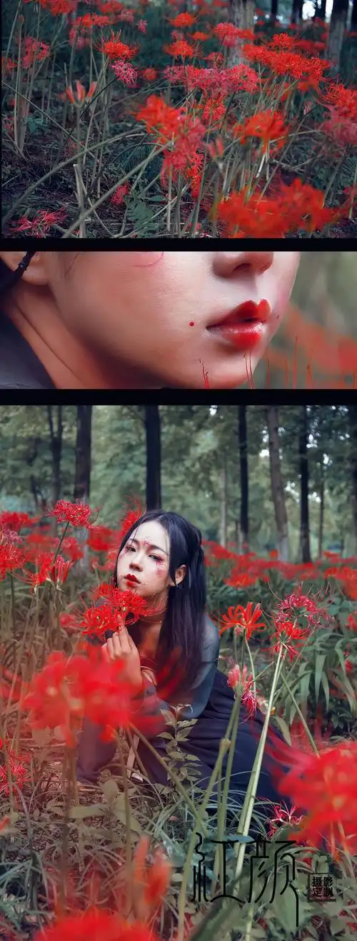 曼珠沙华彼岸等你