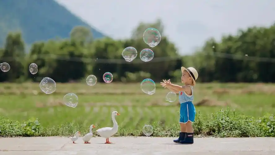 夏日的稻田快乐的童年