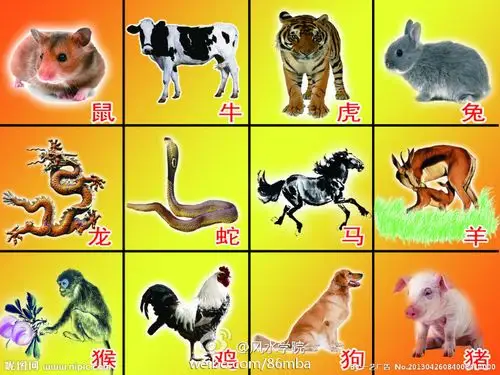 12生肖相生相克的具体内容 - 亚洲风水周易 - 中国风水师在线 亚洲