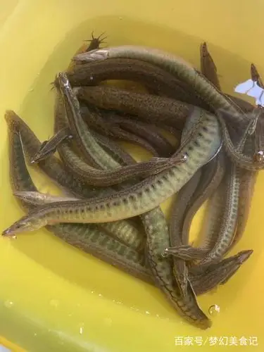 鱼泥鳅 - 热门商品专区