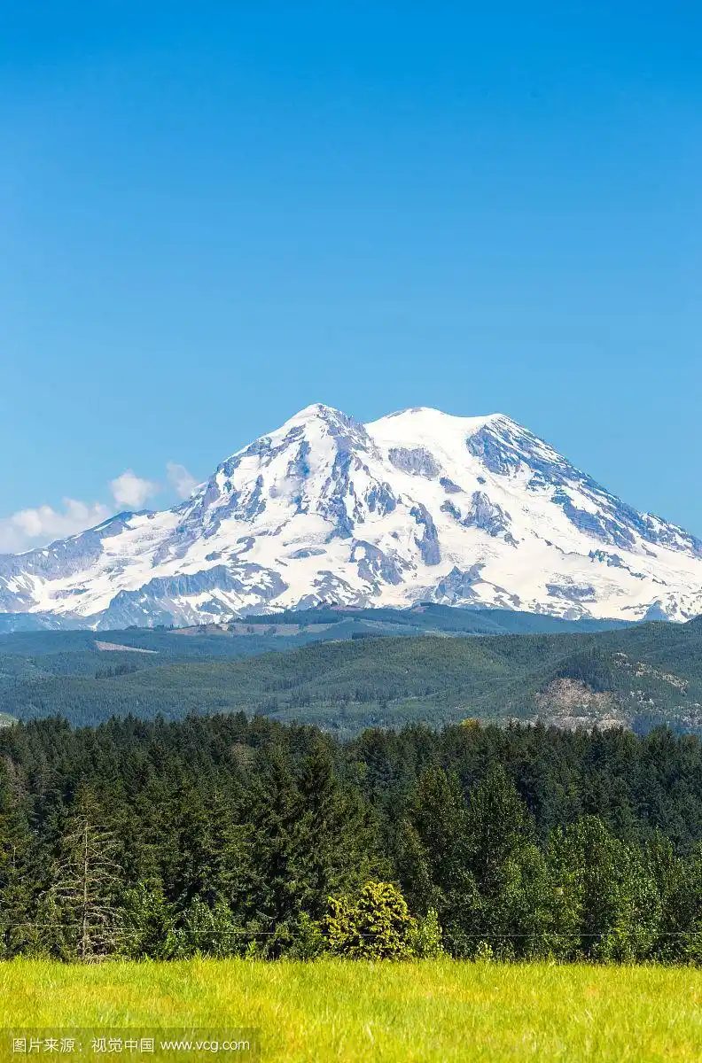雷尼尔雪山草地