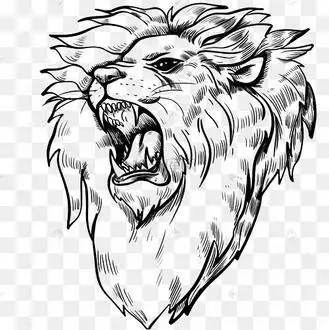 线描狮子