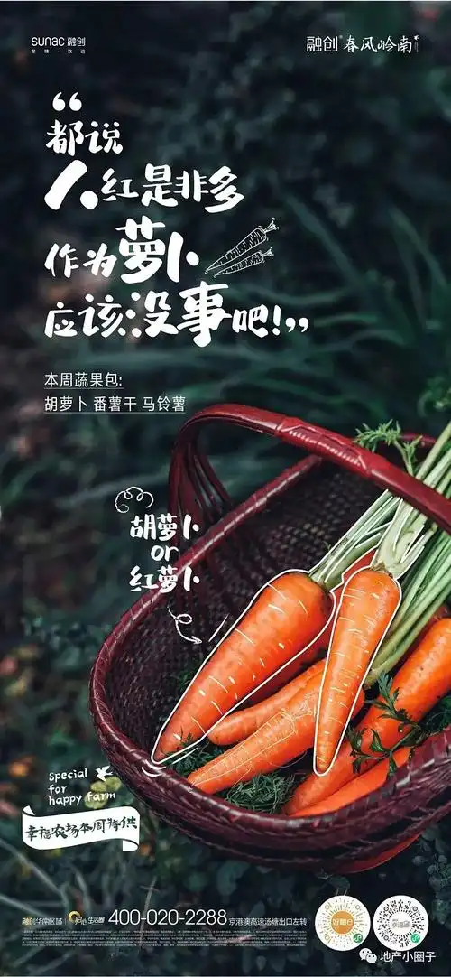 文案系列营销海报排版