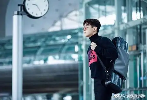 市场,因有趣的灵魂在向往的生活里深受喜欢,以大华身份在国内迅速走红