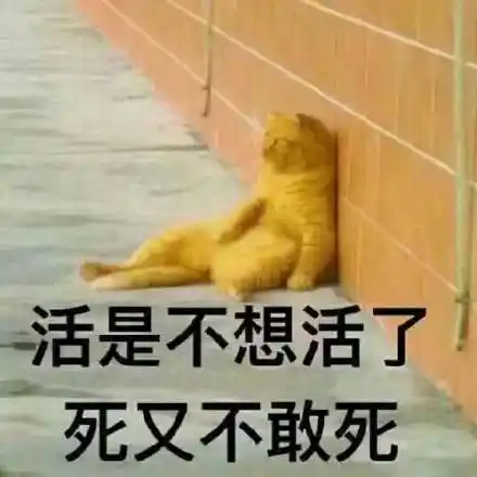 活是不想活了死又不敢死(橘猫表情包)_活是_橘猫_不想_不敢表情