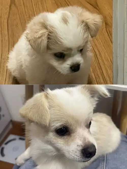 养串串就跟开盲盒是一样的你永远都不知道长大会是什么样子小时候奶乎