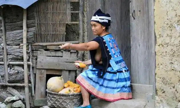 广西有个白裤瑶姑娘不穿内衣一弯腰干活更是一览无余