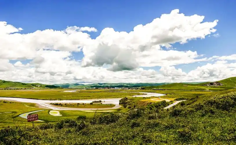 月亮湾草原位于四川红原境内,草原宽阔,牧草茂盛.