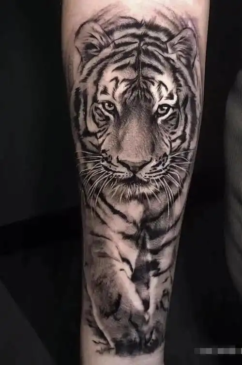 纹老虎图片大全老虎纹身图片男女霸气5