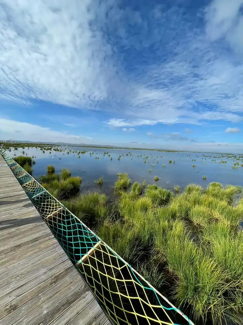 若尔盖花湖.晴空万里,风和日丽#治愈系风景 #若尔盖大草原 - 抖音