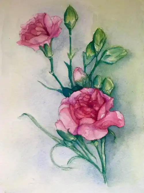 康乃馨水彩画 康乃馨水彩画教程简单