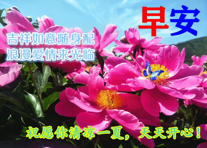 早上好动态表情图片大全,三伏天早上好问候语句子!