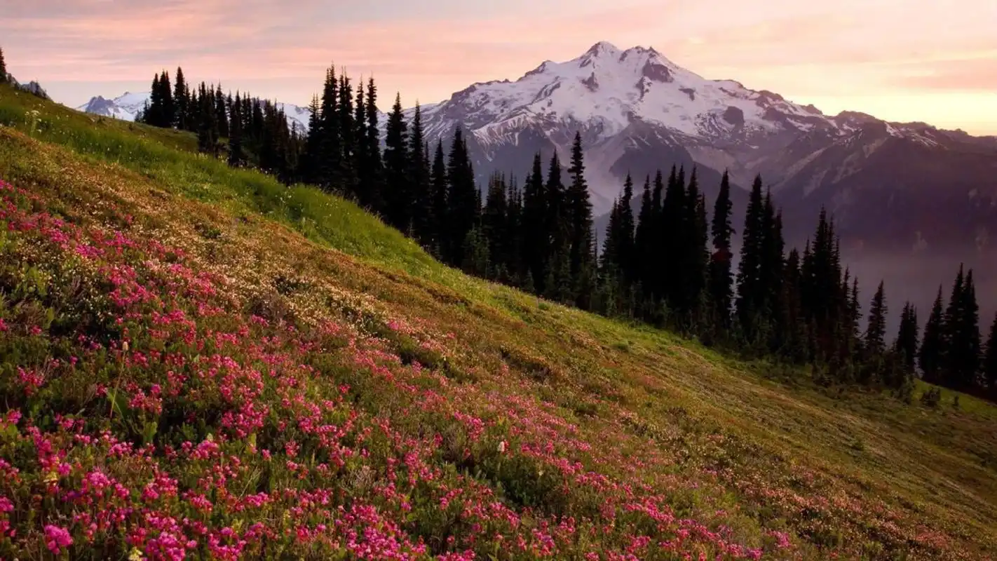清新护眼大自然风景图片电脑壁纸