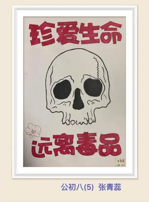 拒绝毒品,守护生活最初美好的样子——中澳实验学校学生优秀禁毒作品