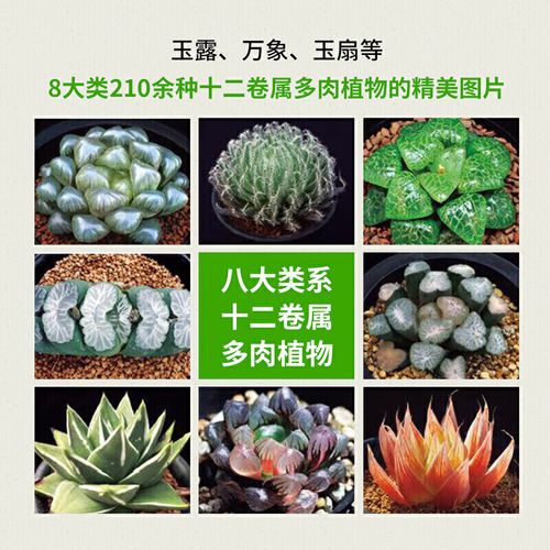 多肉养殖教程多肉品种大全零基础养多肉200种多肉植物图鉴养花书籍