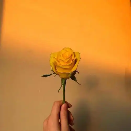 分享一波微信相册封面/持续更新