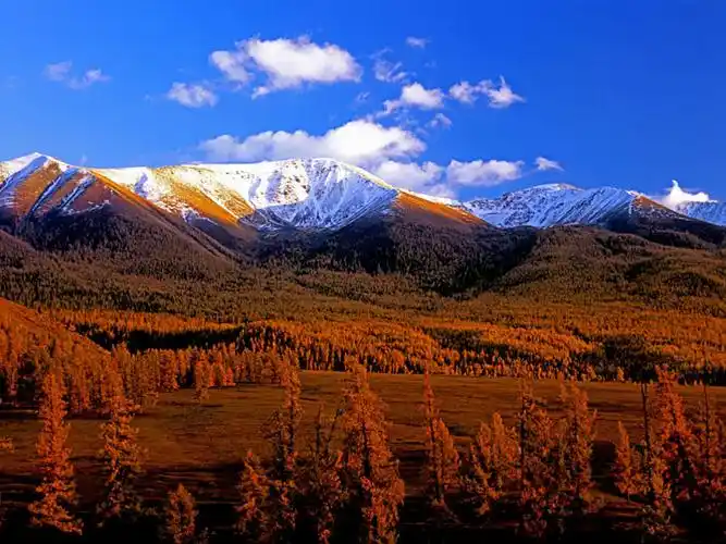 新疆风光(3)雪山金照