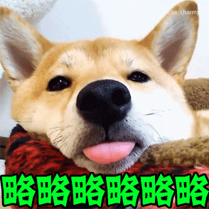 略略略狗狗舌头可爱gif动图_动态图_表情包下载_soogif